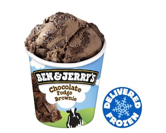 Ben & Jerry's Chocolate Fudge Brownie