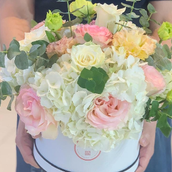 Hydrangea And Eastamo Box