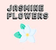 Jasmine Flowers