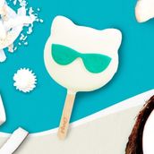 Coconut Cool Cat