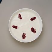 Yogurt Garlic