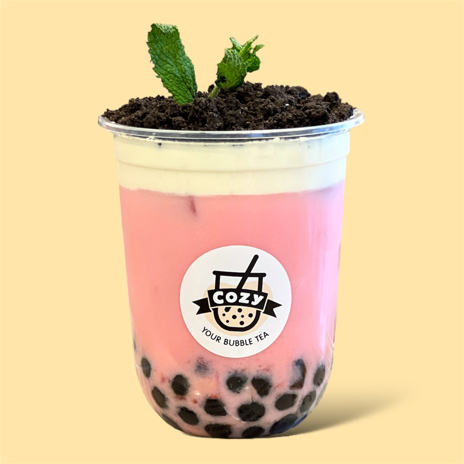 Bonsai Strawberry 草莓盆栽