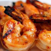 Shrimp