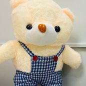 Teddy Love Birthday Boy