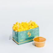 Cheesy Fries
