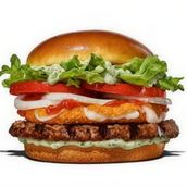 Mozzarella Burger(chi/beef)