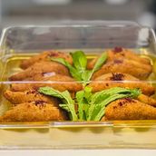 Fried Kibbeh Box 10 pieces 