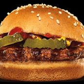 Steel Cheese Burger