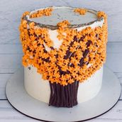 Autmn Cake 4