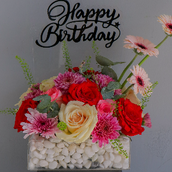 Birthday Wishes