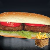 Kabab Combo