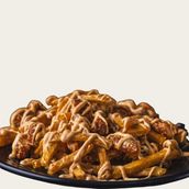 CHICKEN FRIES