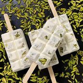 ASHTA Ice Cream Stick