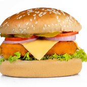 Vegetable Burger