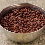Crunchy Chocolate