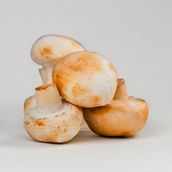 Extra Mushroom 