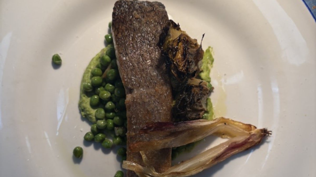 Var Salmon