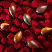 Edible Jewelry Chocolate (8 Pieces)