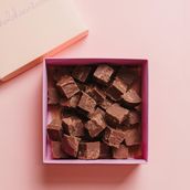 Paleo Vegan Fudge