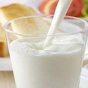 Plain Milk