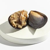 Oyster Piece
