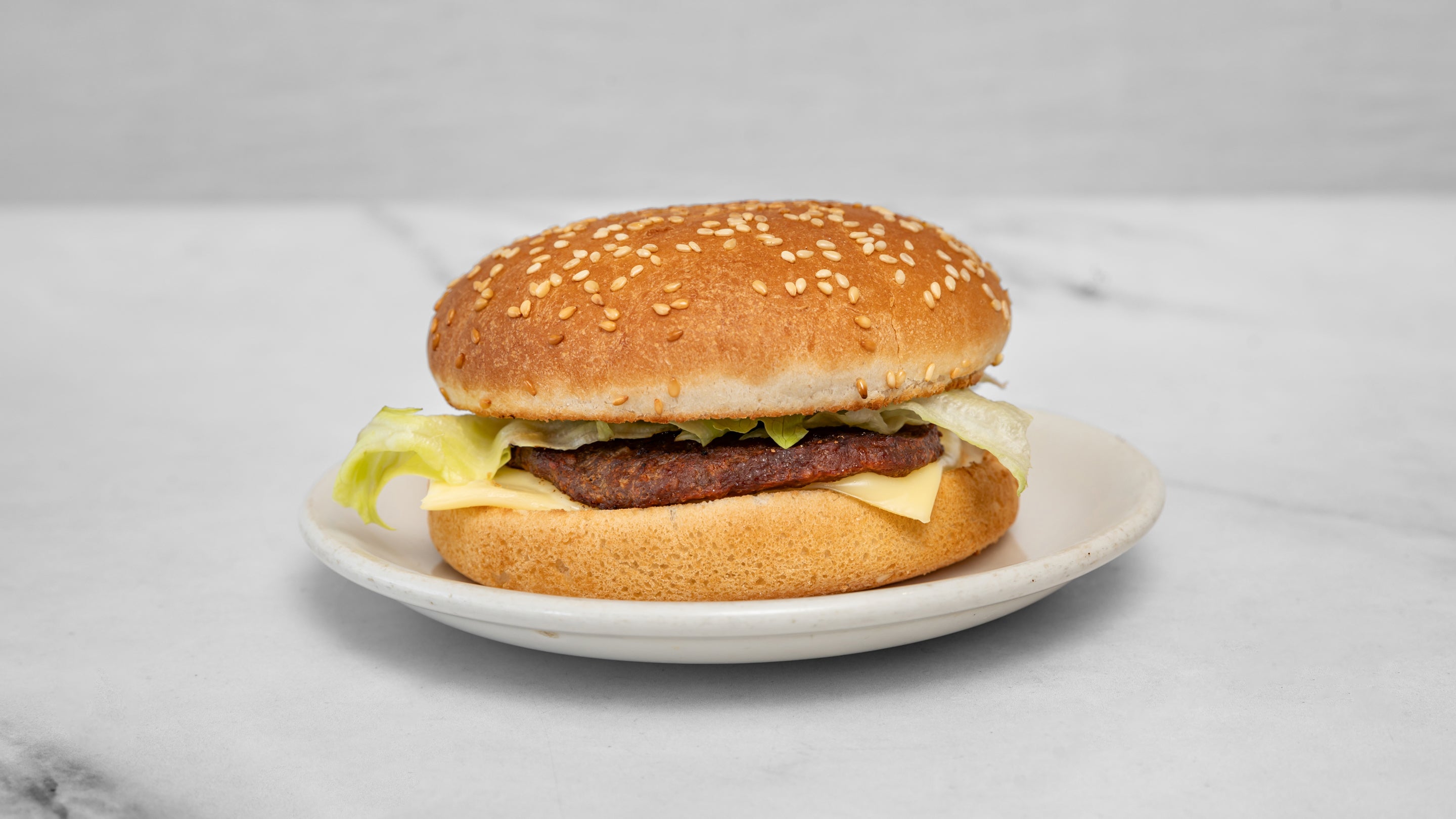 Vegetable Burger