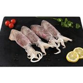 Fresh Squid (Medium Sized) (Whole) 500Grams