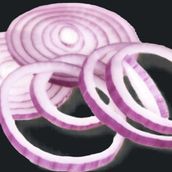 Onion ( 100 CC)