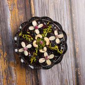 Halwa Alsltanya ( Black)