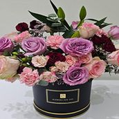 Black Box Pinkple R