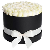41 Amazing White Roses