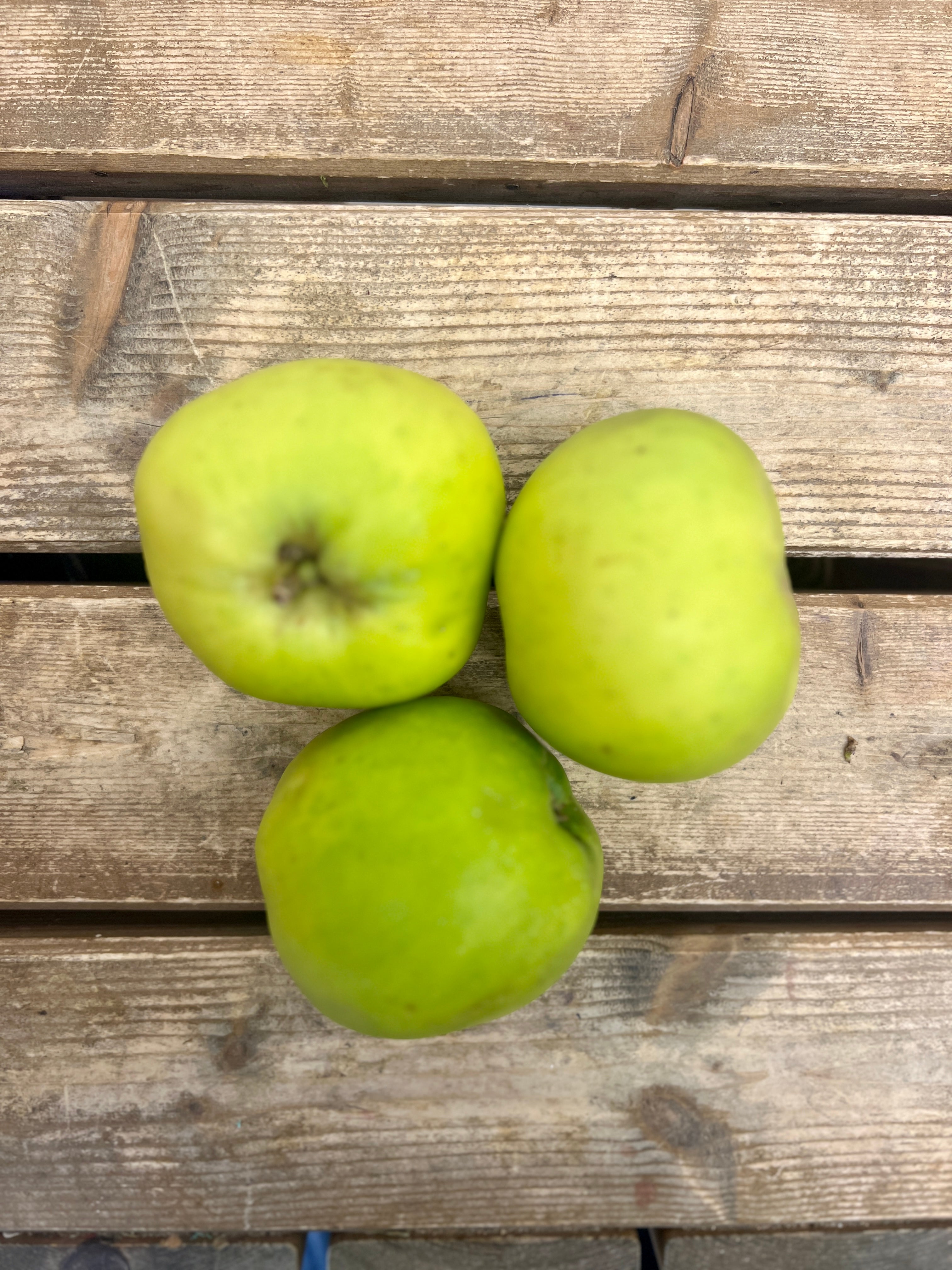 Bramley Apple (Cooking) 500gm.