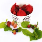 Fresh Raspberry Ice Cream