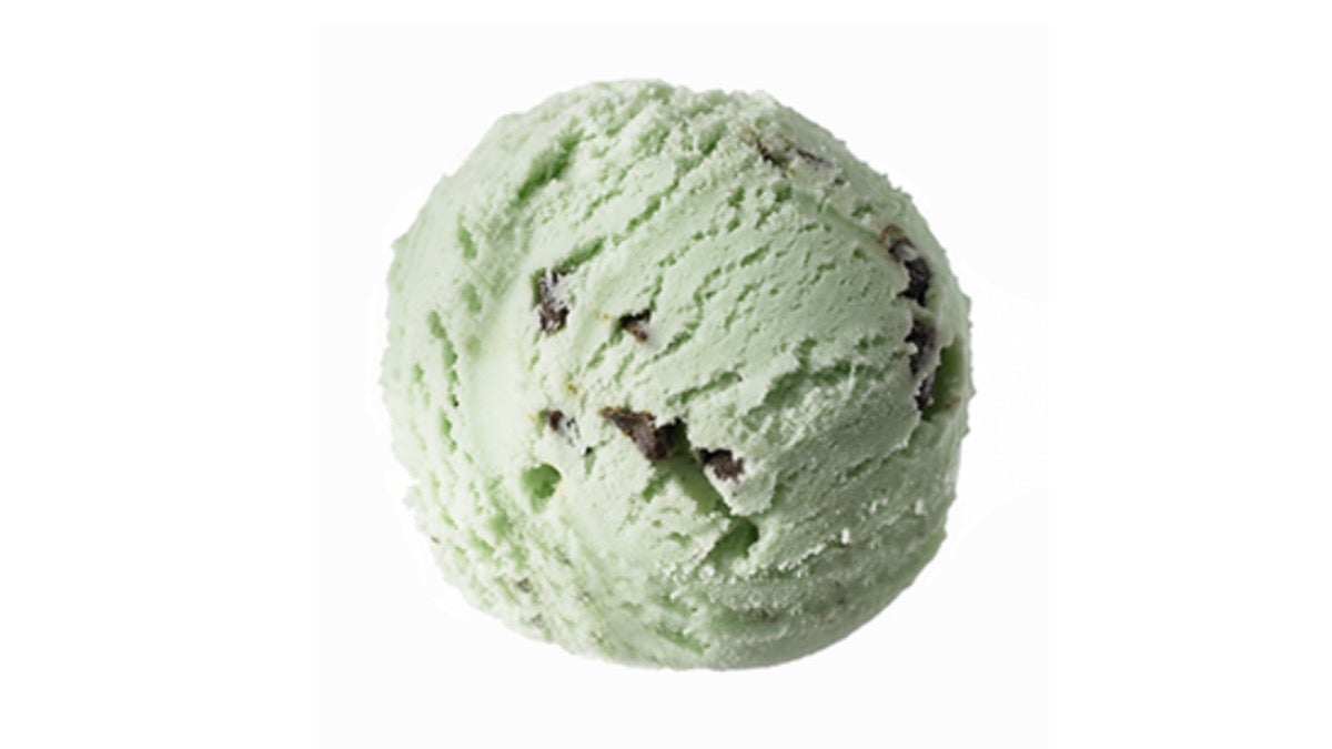 Mint Chocolate Chip 500ml