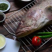 HAMOUR Fish Meal