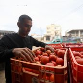 Fresh Produce