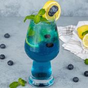 Blueberry Mojito