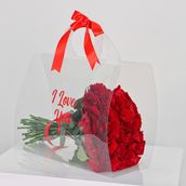 Acrylic Bag 35