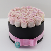 Box Arrangement 0001