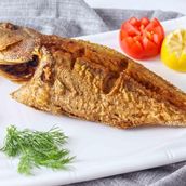Hammour Fish