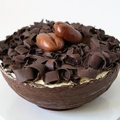 Tiramisu Bowl