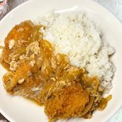 Japanese Chicken Katsu Toji Rice