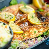 Sea Bass Fish