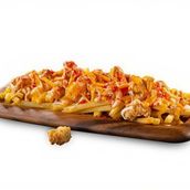 Overload Fries