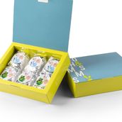 Cake Box 6 Pieces 