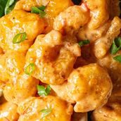 Volcano Shrimp