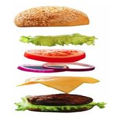 Create Your Dream Burger