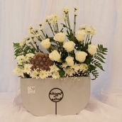 chocolate stand 850088
