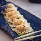 Homemade Gyoza