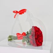 Acrylic Bag 20